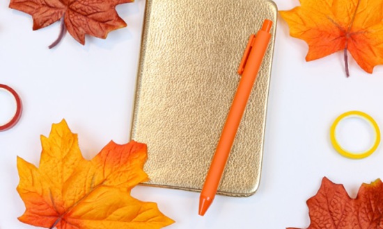 西河职业中学2026年招生简介