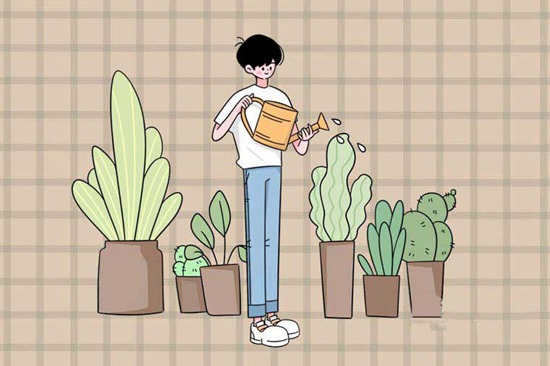 宣威市第一职业技术学校2026年专业招生计划