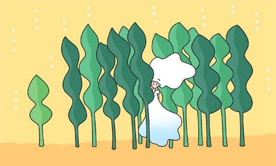 出国留学推荐信 范文（五）