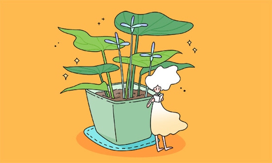 广南县民族职业高级中学2026年报名指南